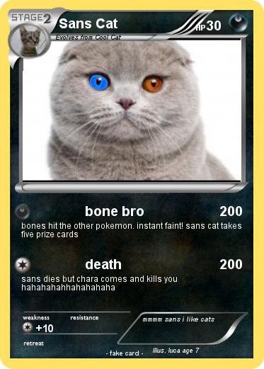 Pokemon Sans Cat