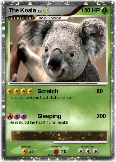 Pokemon The Koala