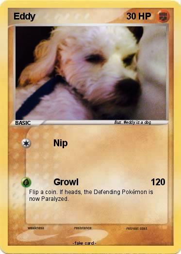 Pokemon Eddy
