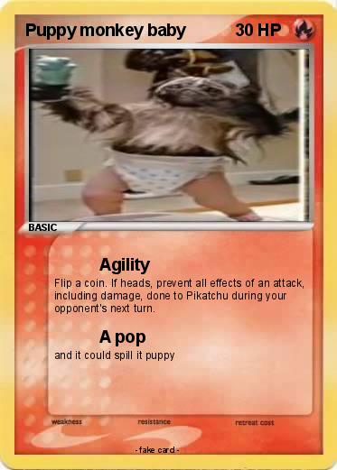 Pokemon Puppy monkey baby