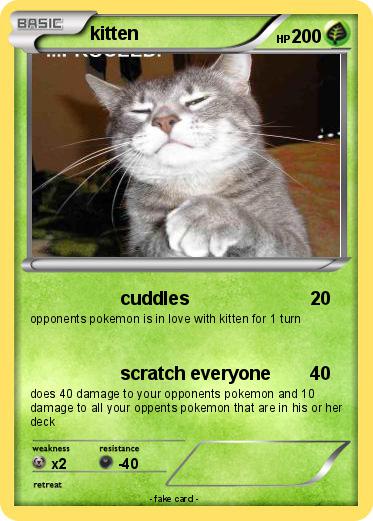 Pokemon kitten