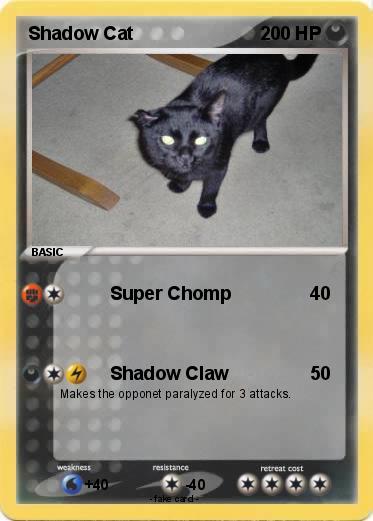 Pokemon Shadow Cat