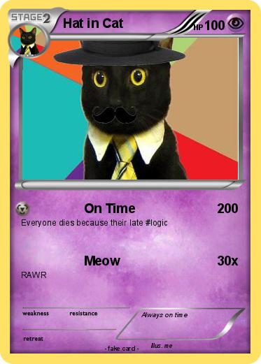 Pokemon Hat in Cat