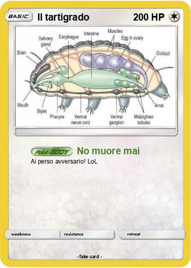 Pokemon Il tartigrado