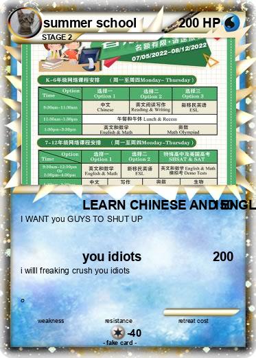 Pokemon summer school