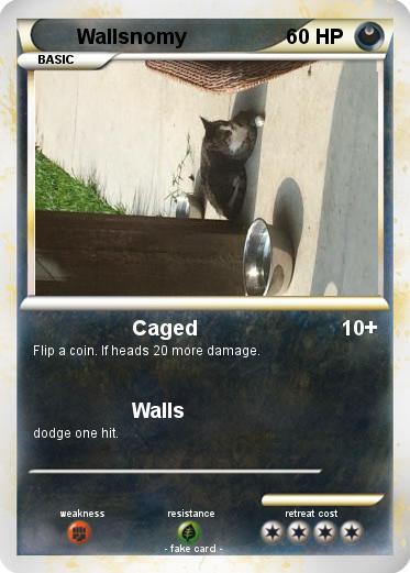 Pokemon Wallsnomy