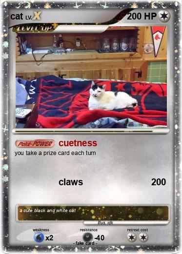 Pokemon cat