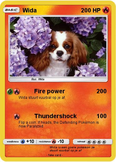 Pokemon Wida