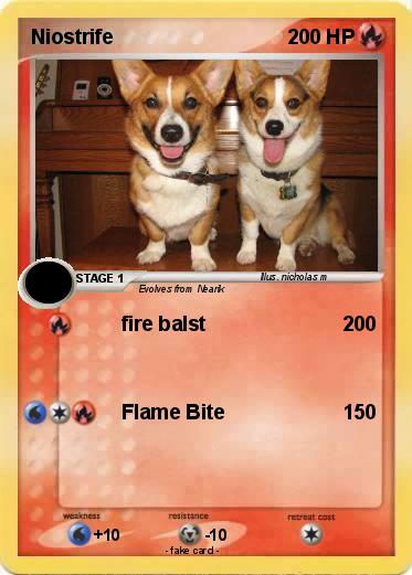Pokemon Niostrife