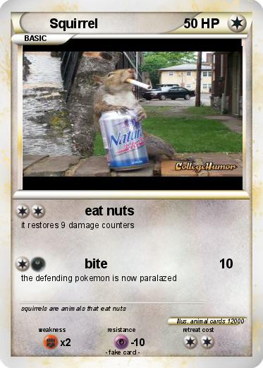 Pokemon Squirrel