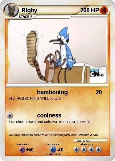 Pokemon Rigby