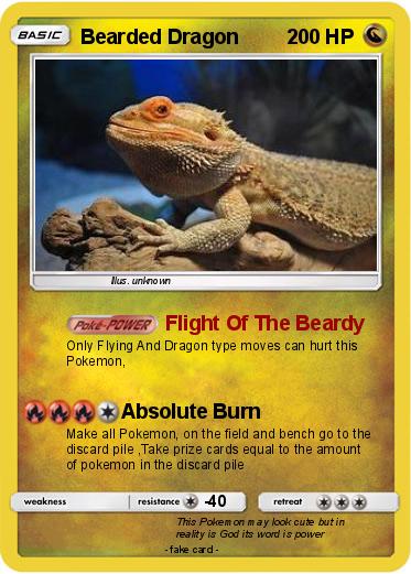 Pokemon Bearded Dragon