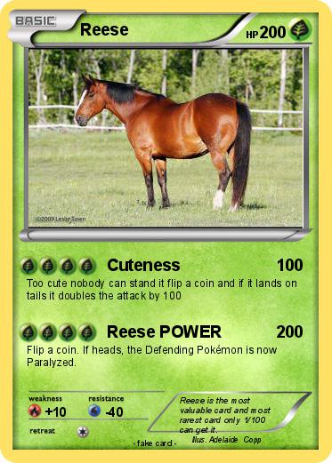 Pokemon Reese