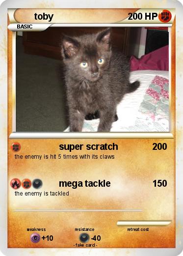 Pokemon toby