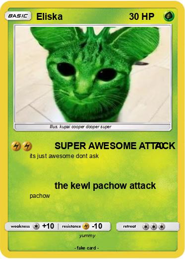 Pokemon Eliska