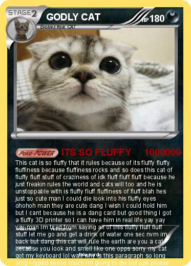 Pokemon GODLY CAT
