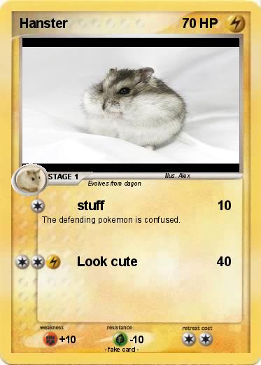 Pokemon Hanster