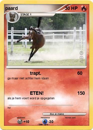 Pokemon paard