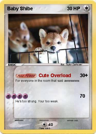 Pokemon Baby Shibe
