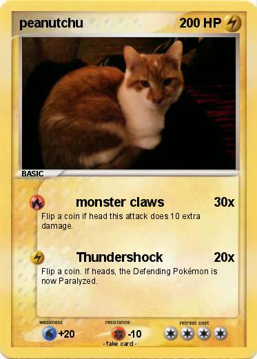 Pokemon peanutchu
