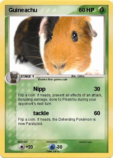 Pokemon Guineachu