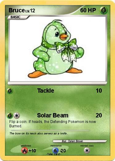 Pokemon Bruce