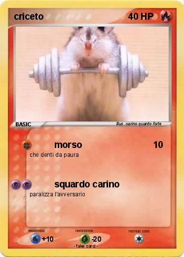 Pokemon criceto
