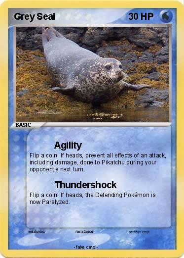 Pokemon Grey Seal