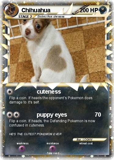 Pokemon Chihuahua