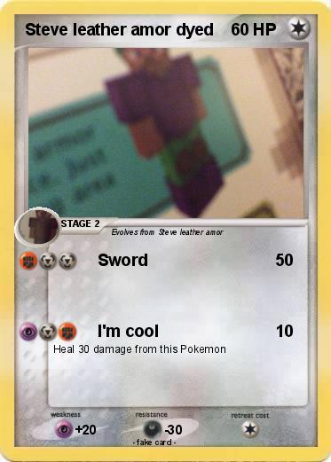 Pokemon Steve leather amor dyed