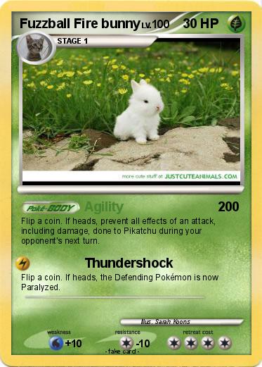 Pokemon Fuzzball Fire bunny