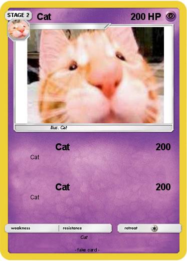 Pokemon Cat