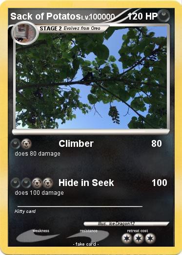 Pokemon Sack of Potatos