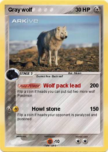 Pokemon Gray wolf