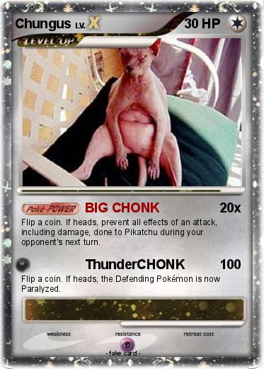Pokemon Chungus