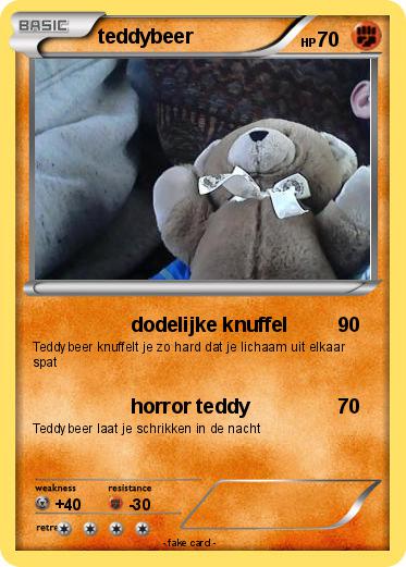 Pokemon teddybeer