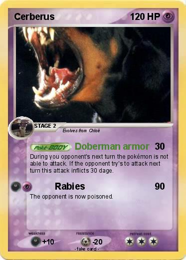 Pokemon Cerberus