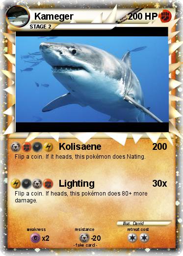 Pokemon Kameger