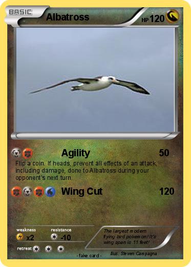 Pokemon Albatross