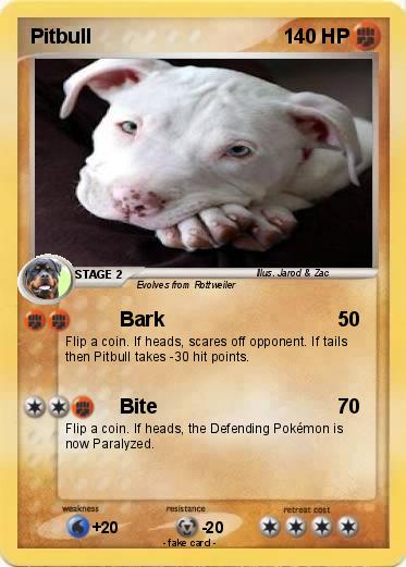 Pokemon Pitbull