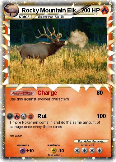 Pokemon Rocky Mountain Elk