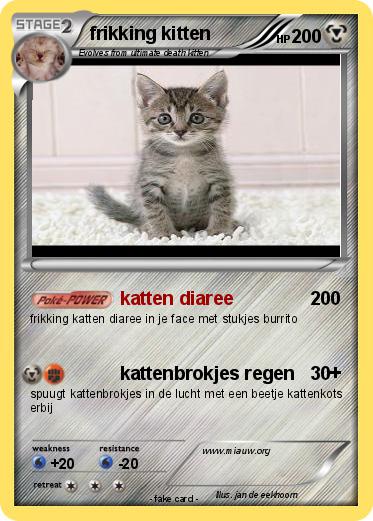Pokemon frikking kitten