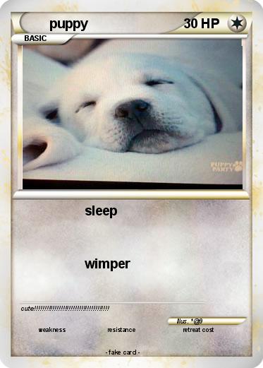 Pokemon puppy