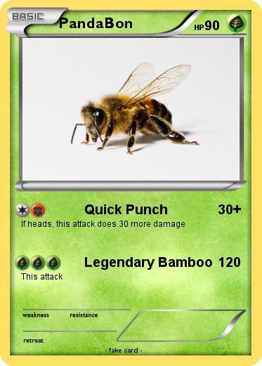 Pokemon PandaBon