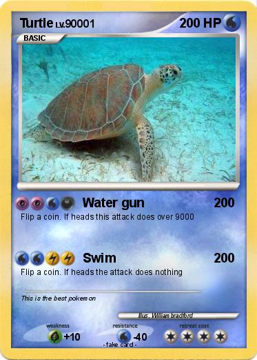 Pokemon Turtle