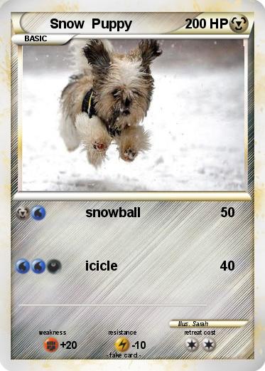 Pokemon Snow  Puppy