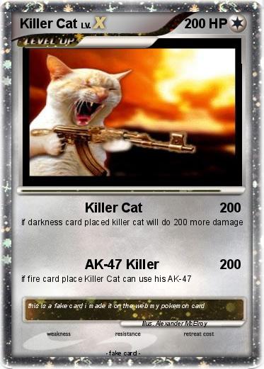 Pokemon Killer Cat