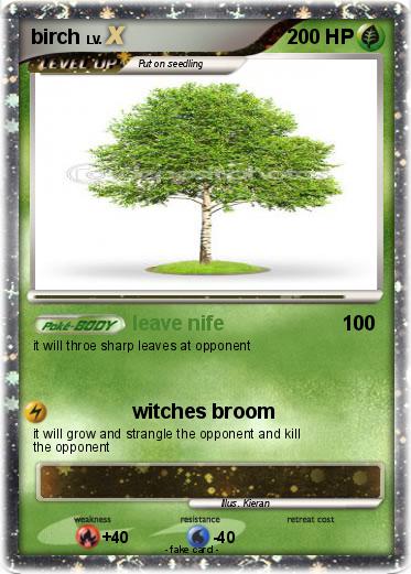 Pokemon birch