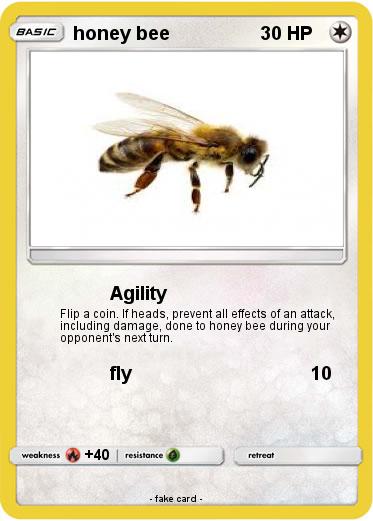 Pokemon honey bee