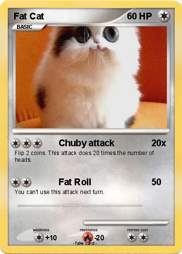 Pokemon Fat Cat
